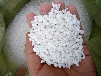珍珠岩