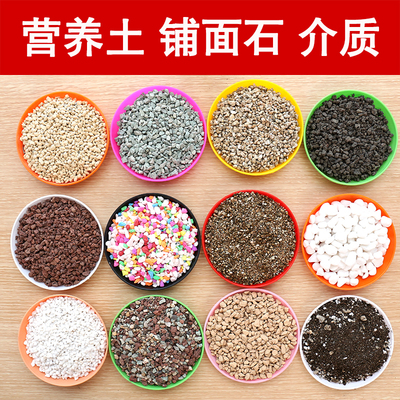 珍珠岩盆栽